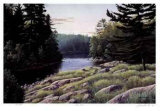 Buy Gull River at AllPosters.com