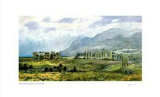 Buy Afternoon Colours at AllPosters.com