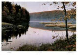 Buy Autumn Shores at AllPosters.com