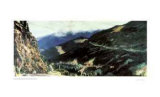 Buy Clearcut Pathworks at AllPosters.com