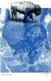 Pertaining to the Earth #6