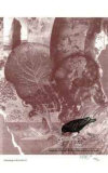 Pertaining to the Earth #4