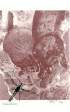 Pertaining to the Earth #3