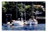 Fulford Harbor