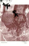 Pertaining to the Earth #2
