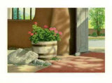Geraniums
