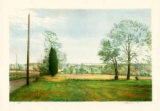 Landscape with Single Cedar