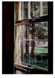 Window on the Pines