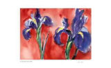 Buy Red Iris at AllPosters.com