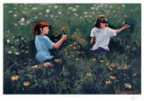 Buy Summertime Friends at AllPosters.com