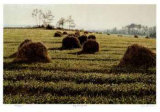 Buy Early Morning at AllPosters.com