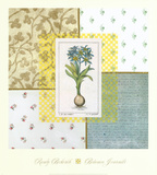 Buy Botanica Journals IV at AllPosters.com