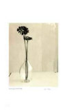 Buy Floral # 10 at AllPosters.com