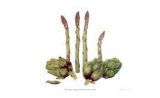 Buy Asparagus and Minature Artichokes at AllPosters.com
