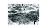 Untitled - Path