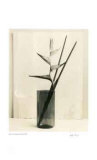 Buy Floral #7 at AllPosters.com