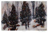 Snow Mist