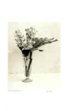 Buy Floral #9 at AllPosters.com