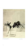 Buy Floral #11 at AllPosters.com