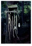 Dry Bones