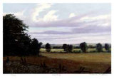 Buy Spring Morning at AllPosters.com
