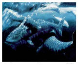 Buy Artic Ballet at AllPosters.com