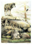 Buy Wolf Family at AllPosters.com
