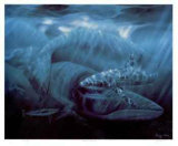 Buy Catalina Islands at AllPosters.com