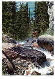 Montana Spring