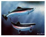 Buy Coast Rainbows at AllPosters.com