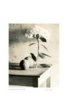 Buy Still Life on Table at AllPosters.com