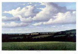 Buy Cloudy Day at AllPosters.com