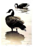 Buy Fluffing Up at AllPosters.com