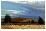 Buy Wheat Field at AllPosters.com
