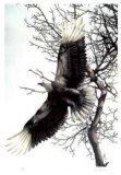 Buy One of a Kind at AllPosters.com