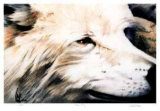 Buy Wary Study at AllPosters.com