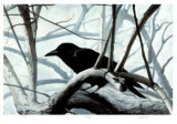 Buy Raven at AllPosters.com
