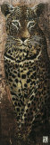 Buy Carnets d'Afrique, Panthere at AllPosters.com