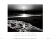 Buy Birds on a Beach at AllPosters.com