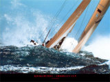 Buy Kookaburra - America`s Cup at AllPosters.com