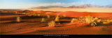 Buy Namib Naukluft Park - Namibia at AllPosters.com