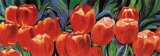 Buy Tulips at AllPosters.com