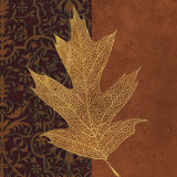 Buy Quercus at AllPosters.com