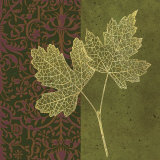 Buy Maple at AllPosters.com