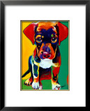 Buy Toby at AllPosters.com