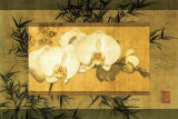 Buy Bamboo and Orchids II at AllPosters.com