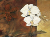 Buy Luisia I at AllPosters.com