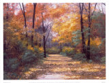 Autumn Road