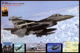F-16 Fighting Falcon