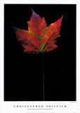 Buy Plate No. 21 at AllPosters.com